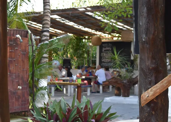 Lobo Tulum