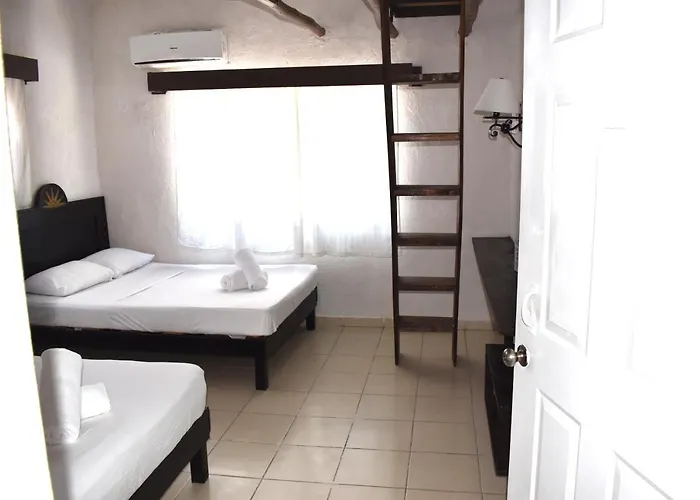 Lobo Tulum