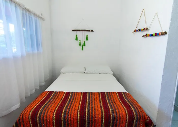 Lobo Tulum