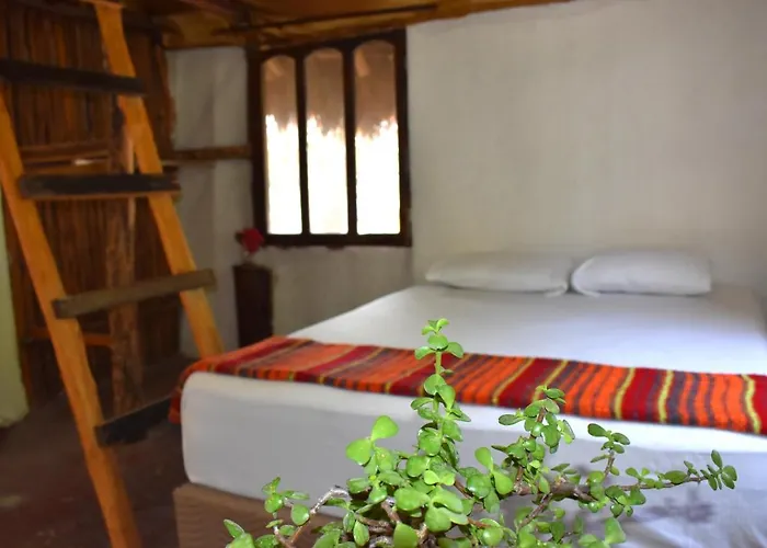 Lobo Bed and breakfast