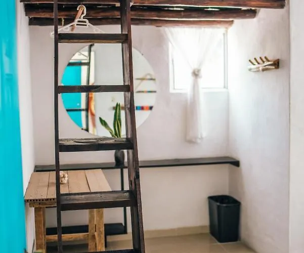 Lobo Tulum