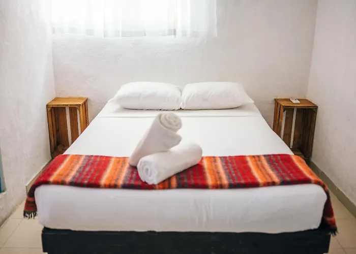 Lobo Bed and breakfast