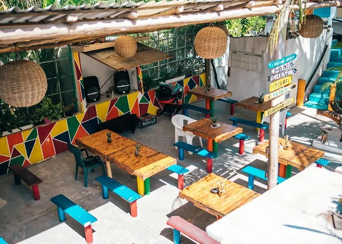 Lobo Tulum