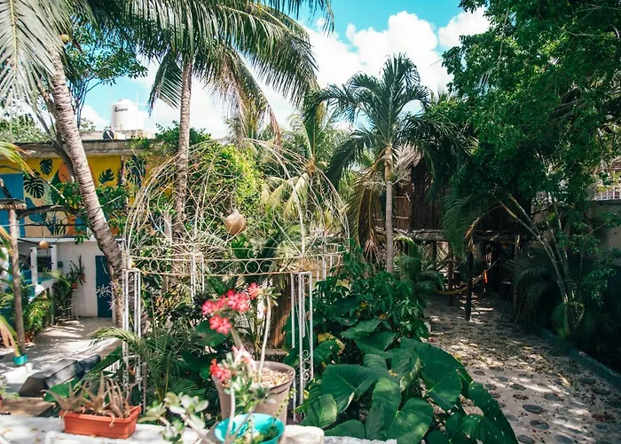Lobo Bed and breakfast 2*