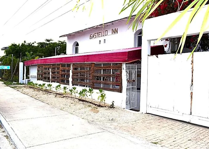 Lobo Tulum