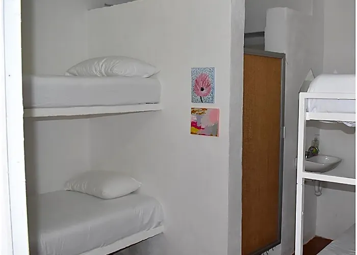 Lobo Bed and breakfast